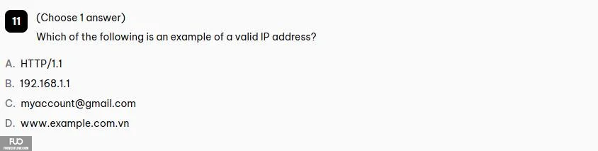 11.webp