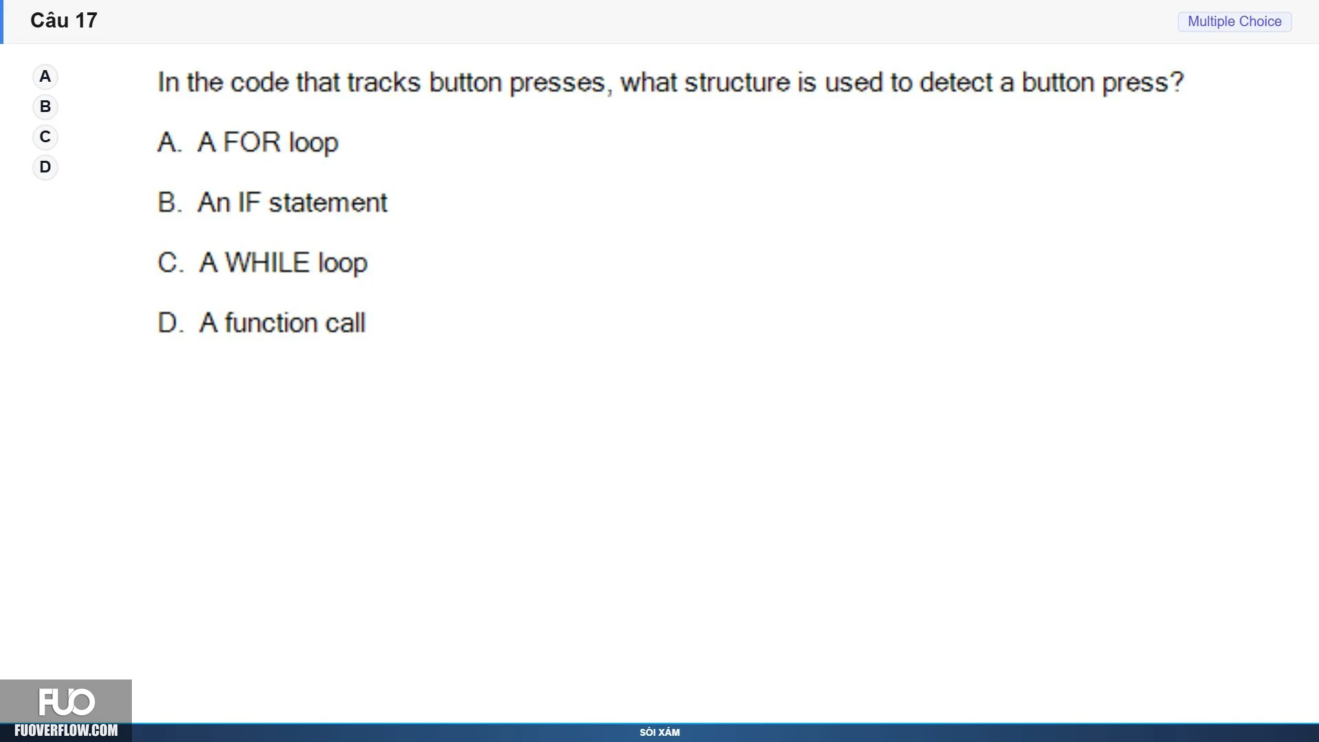 17.webp