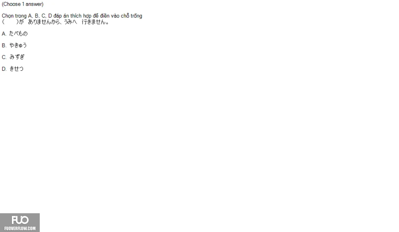 19.webp