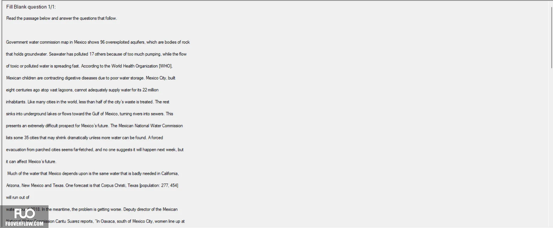 4.webp