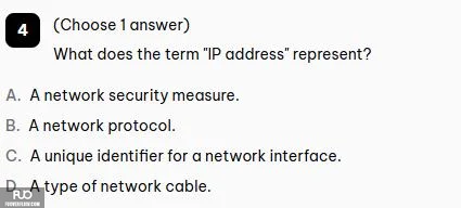 4.webp