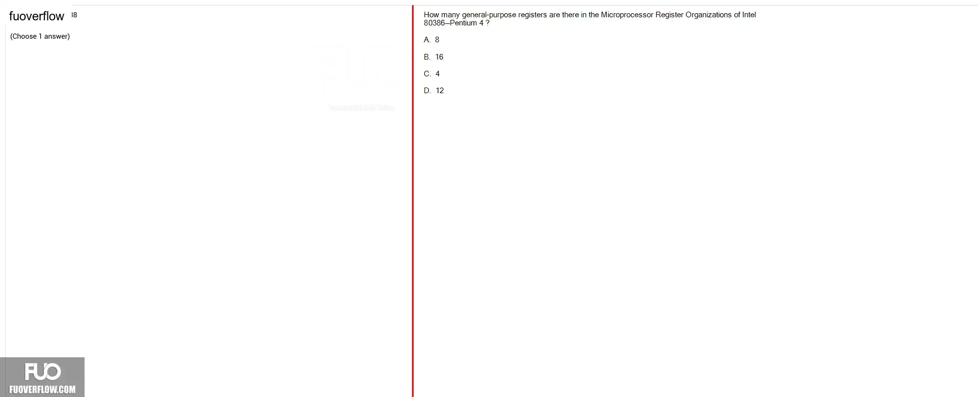 CEA201_-_SP_2025_-_FE_3632.webp