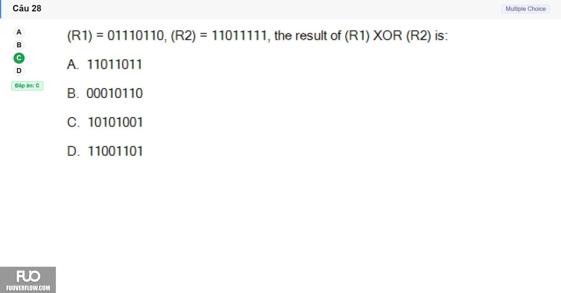 CEA201_SP26_FE (26).webp