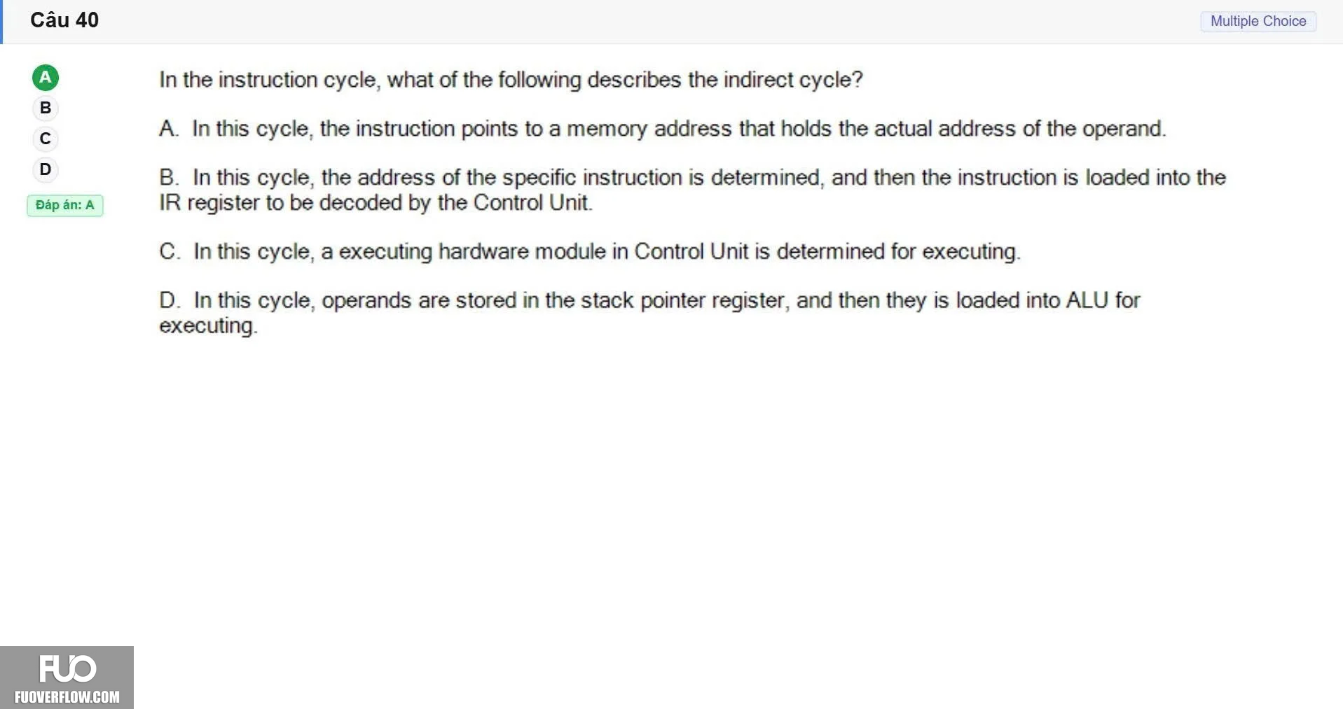 CEA201_SP26_FE (39).webp
