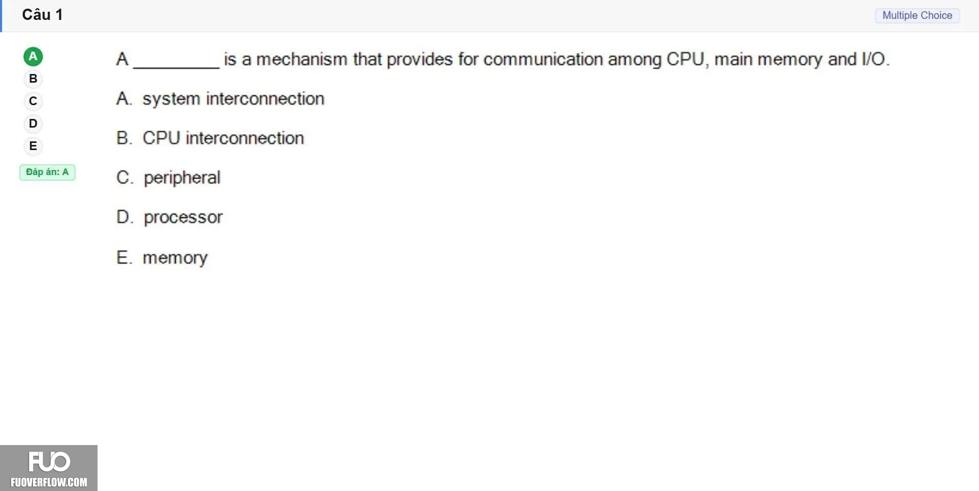 CEA201_SP26_FE (49).webp