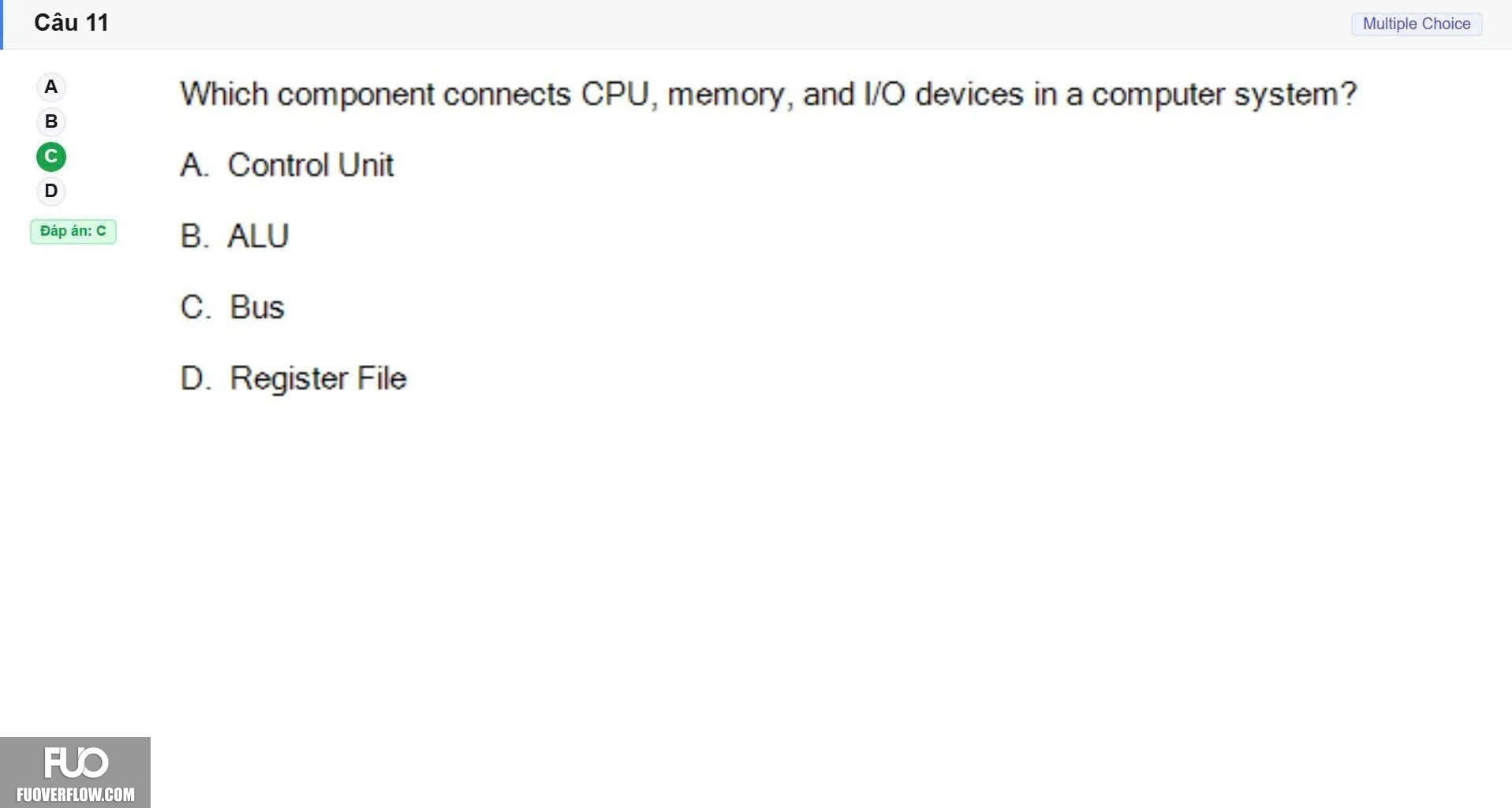 CEA201_SP26_FE (9).webp