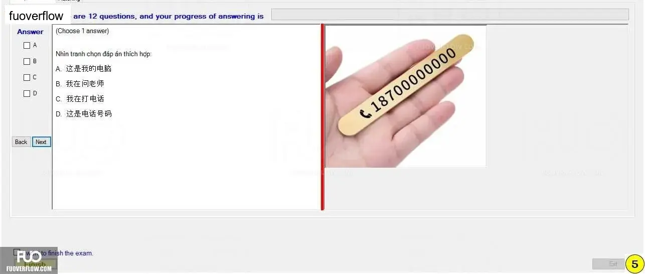 CHN113_-_Q2_-_R_-_D10_1481.webp