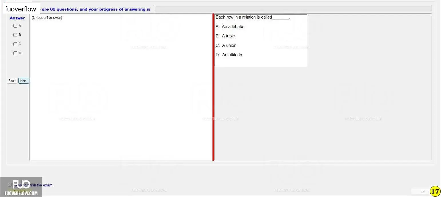CSI104_-_FA_2023_-_RE_1100.webp