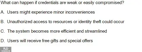 DBS401_-_SP_2025_-_FE_3989.webp
