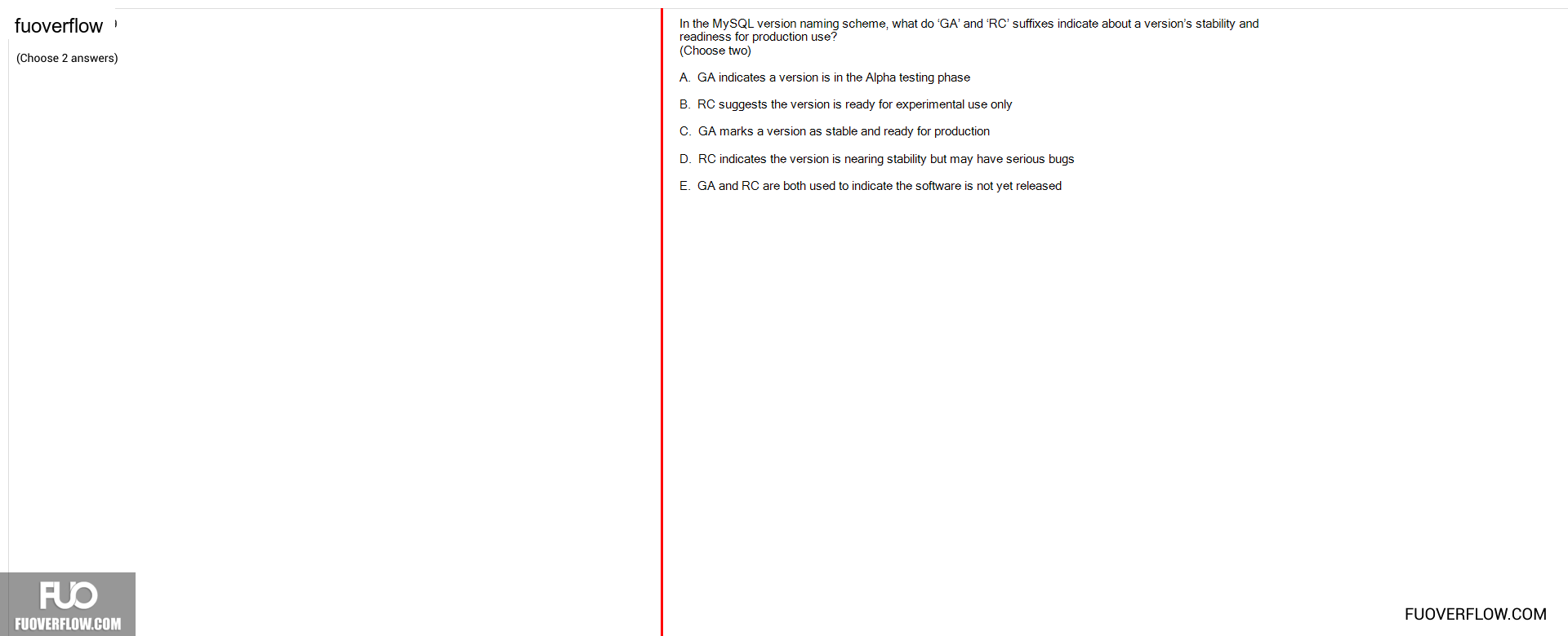 DBS401_-_SU_2024_-_FE_2353.webp