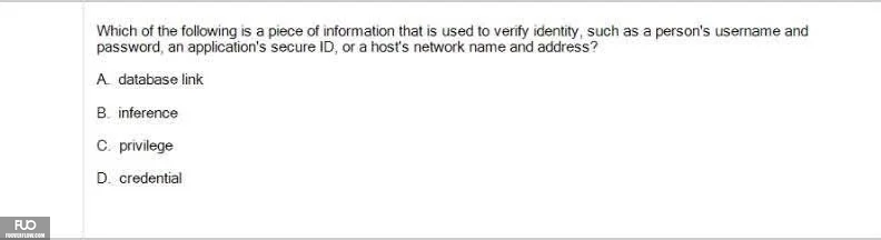 DBS401_SP26_FE (38).webp