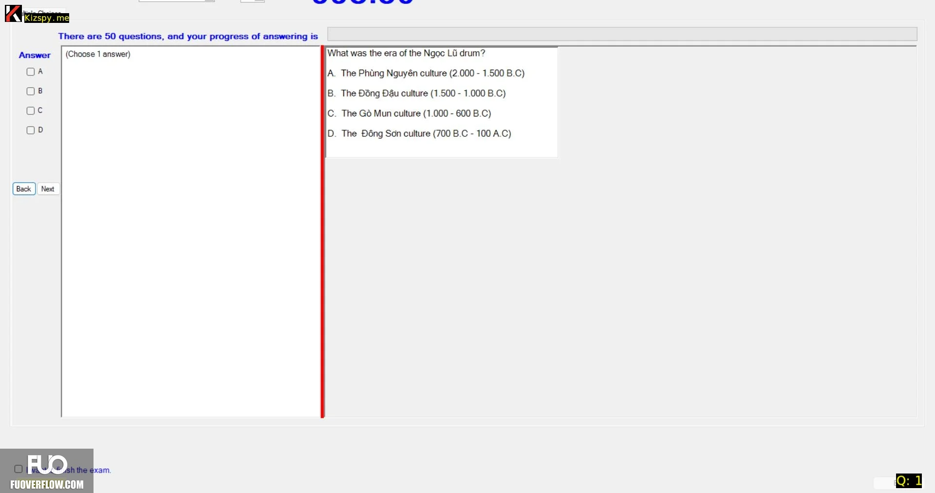 HOA102_SU25_Final_Exam_4134.webp