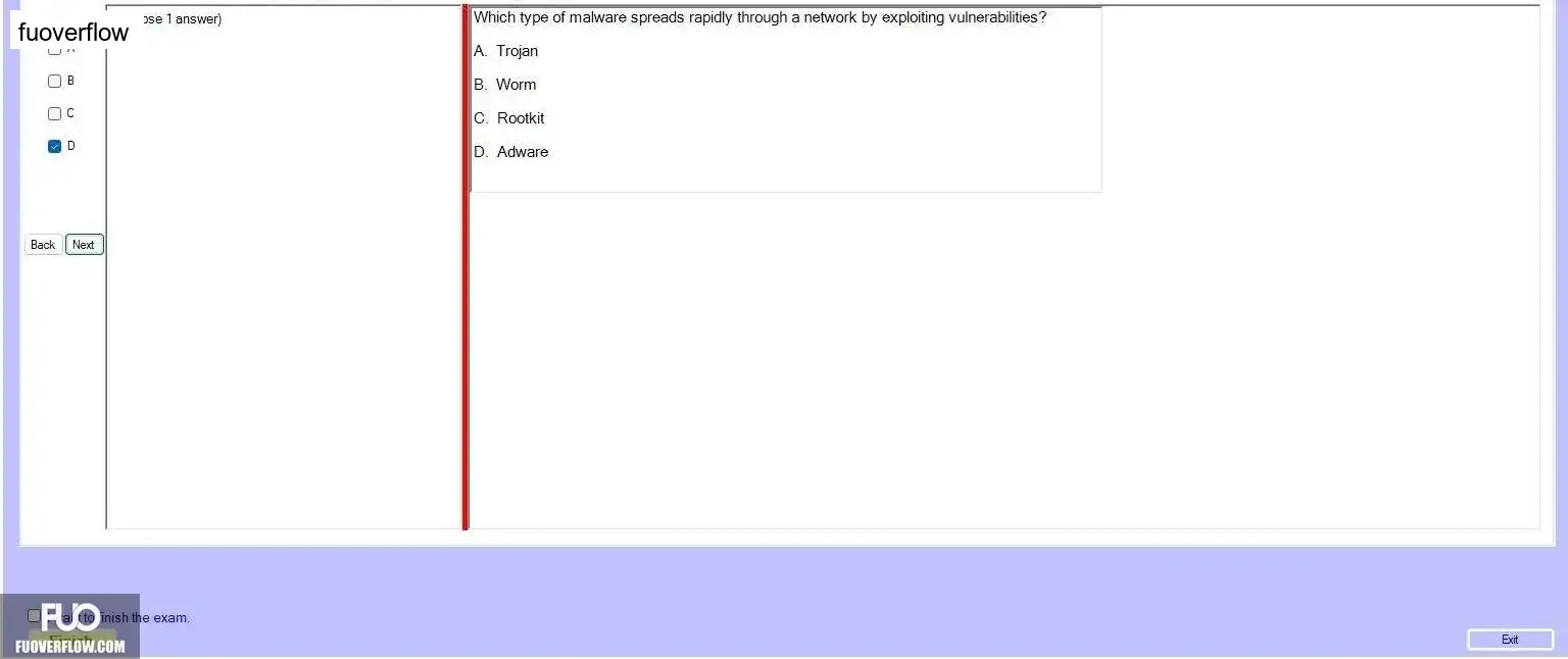 IAM302_-_SU_2024_-_RE_3537.webp