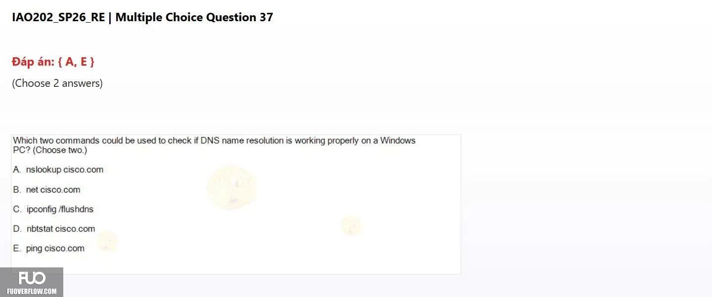 IAO202_SP26_RE (17).webp