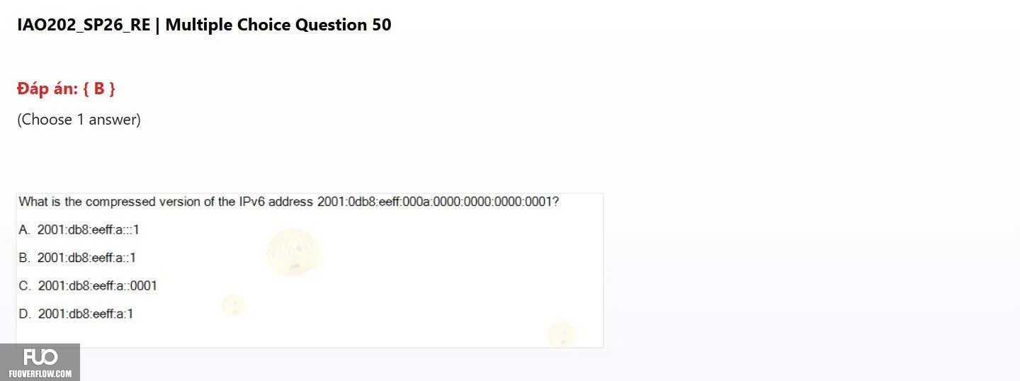 IAO202_SP26_RE (2).webp