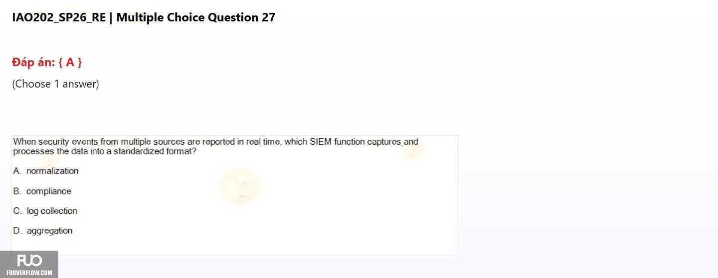 IAO202_SP26_RE (24).webp