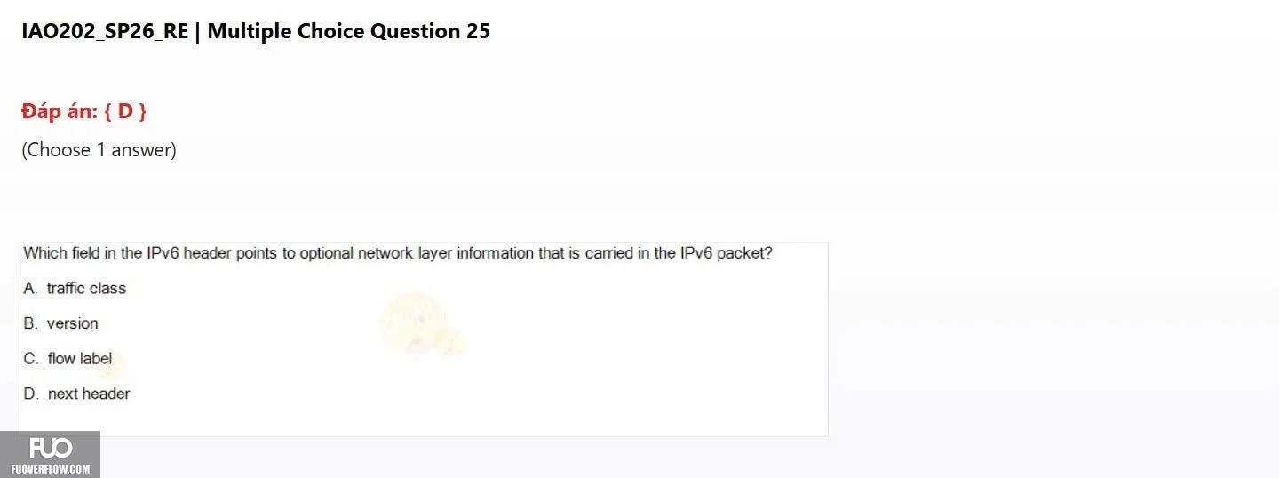 IAO202_SP26_RE (27).webp
