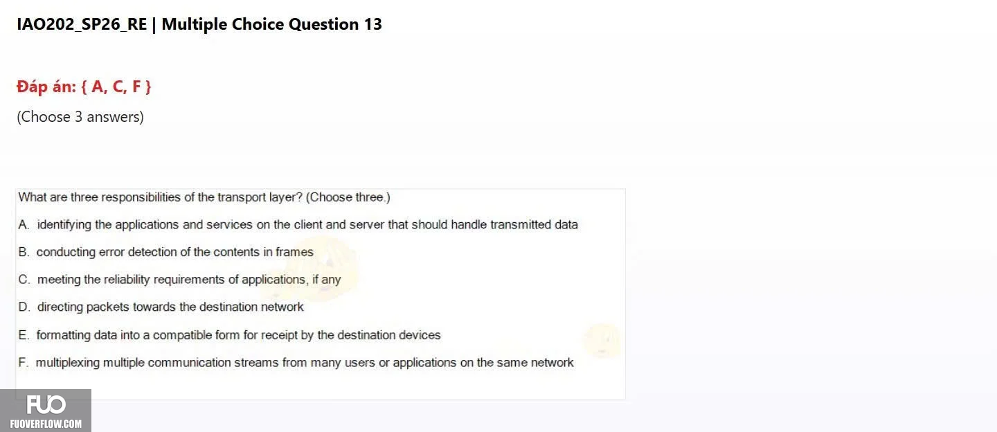 IAO202_SP26_RE (39).webp