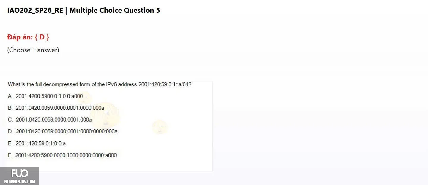 IAO202_SP26_RE (41).webp