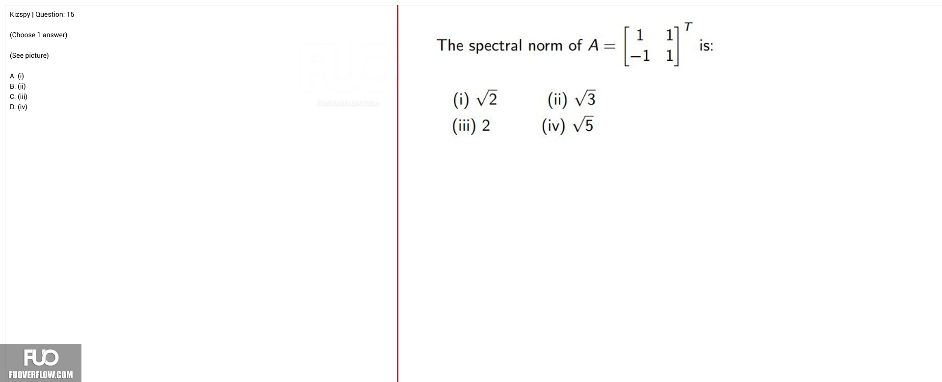 MAI391_-_SU25_-_FE_4187.webp