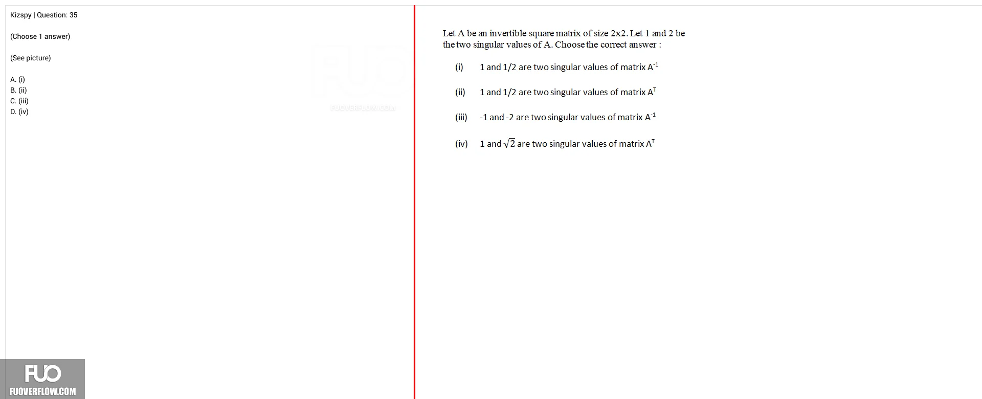 MAI391_-_SU25_-_FE_4187.webp