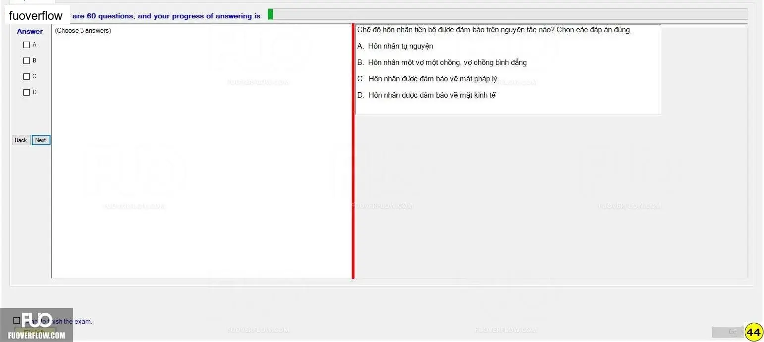 MLN131_-_SP_2024_-_FE_1402.webp