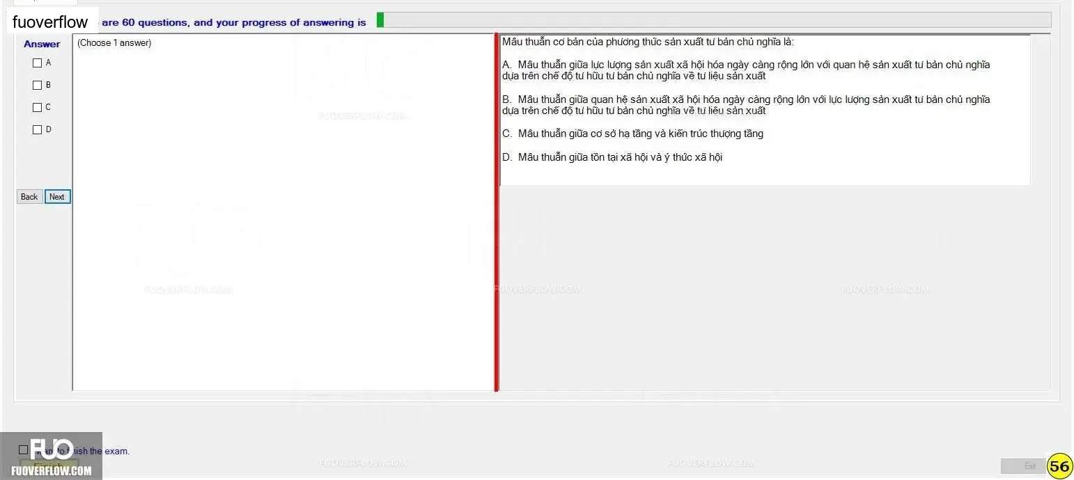 MLN131_-_SP_2024_-_FE_1402.webp