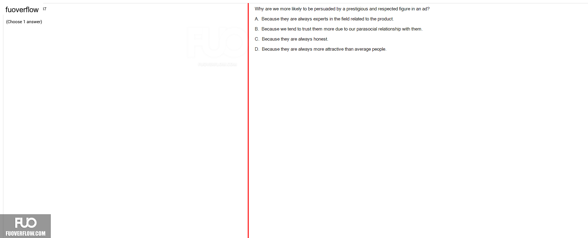 MMP201_-_SU_2024_-_RE_2472.webp