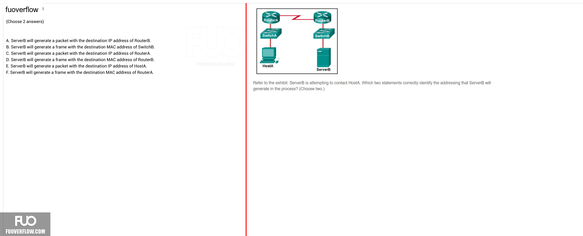 NWC204_-_FA_2024_-_Block_5_-_FE_3239.webp