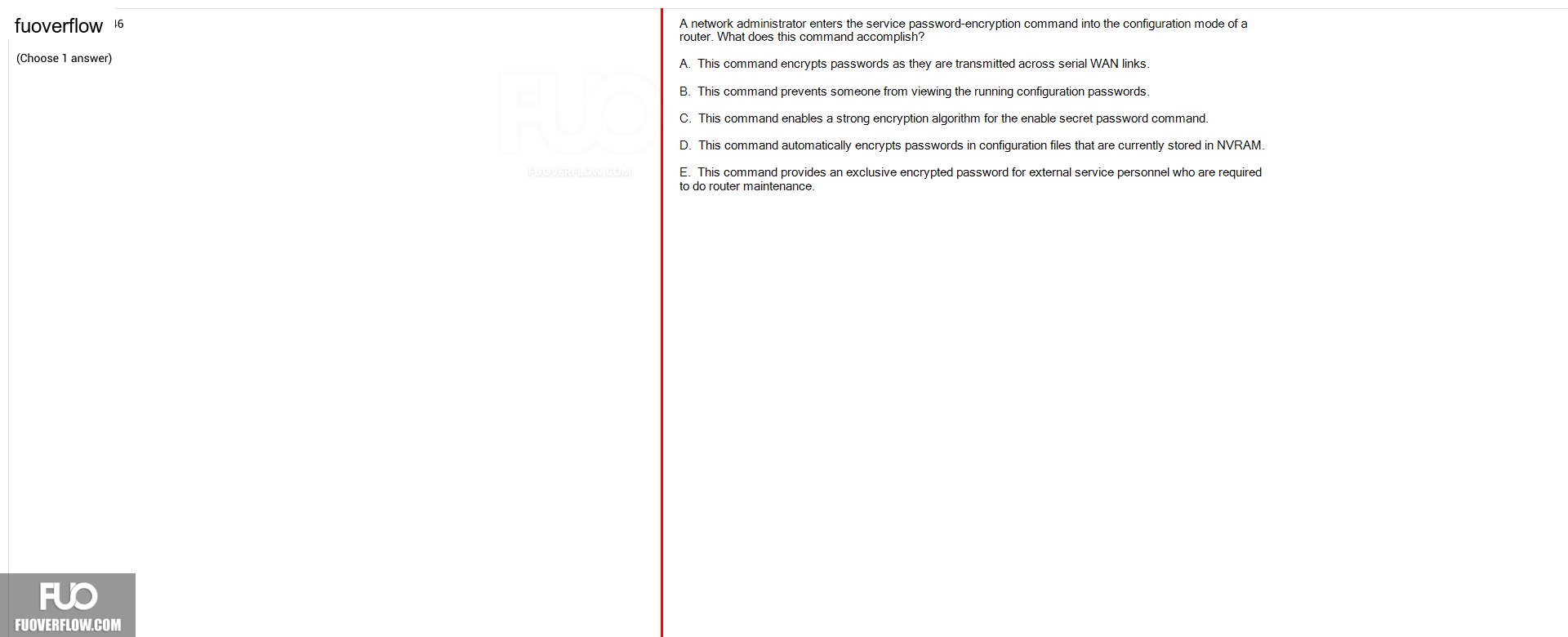 NWC204_-_SU_2024_-_FE_2376.webp