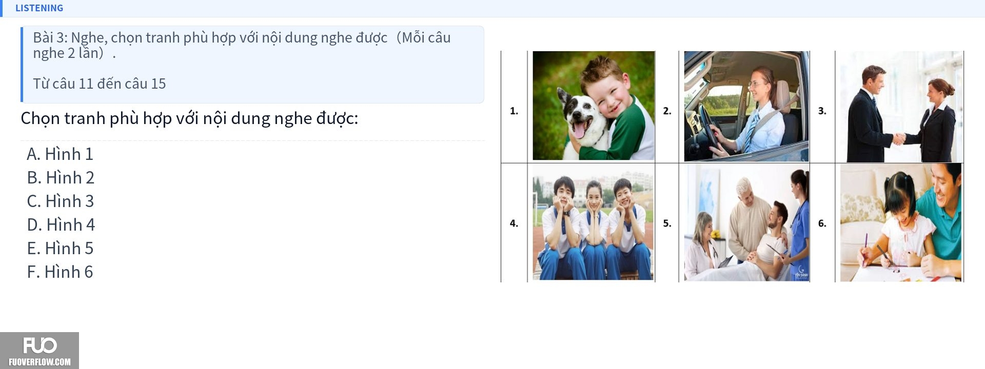 Q13.jpg