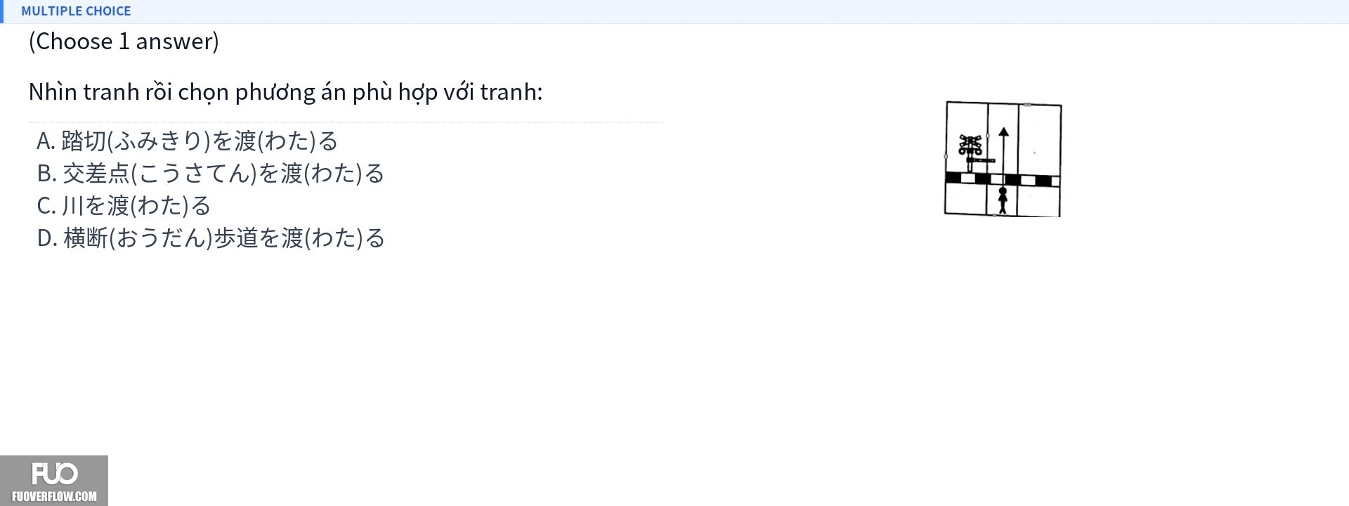 Q17.jpg