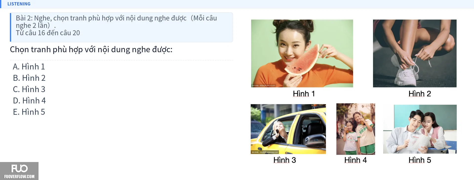 Q17.webp