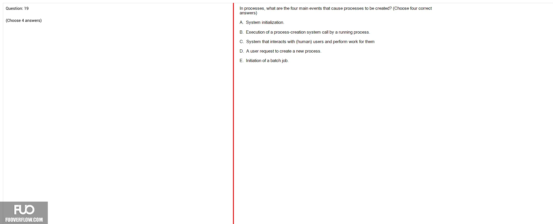 Q19.webp