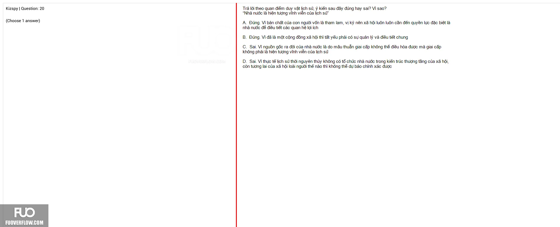 Q20.webp