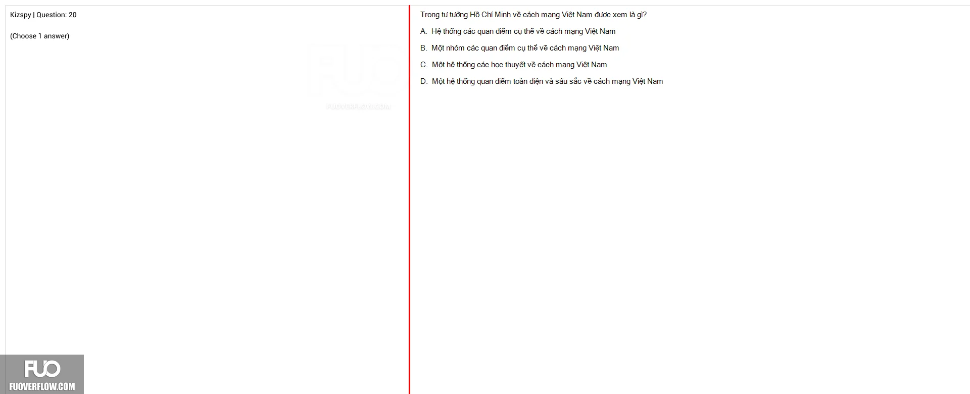 Q20.webp