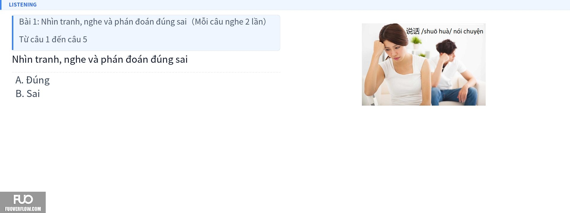 Q3.jpg