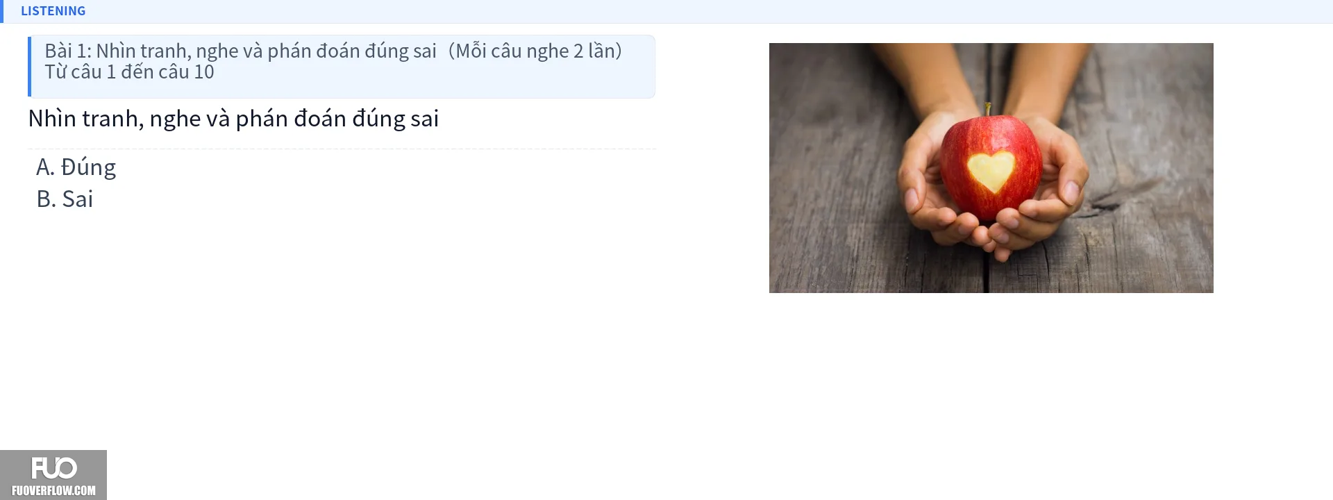 Q8.webp