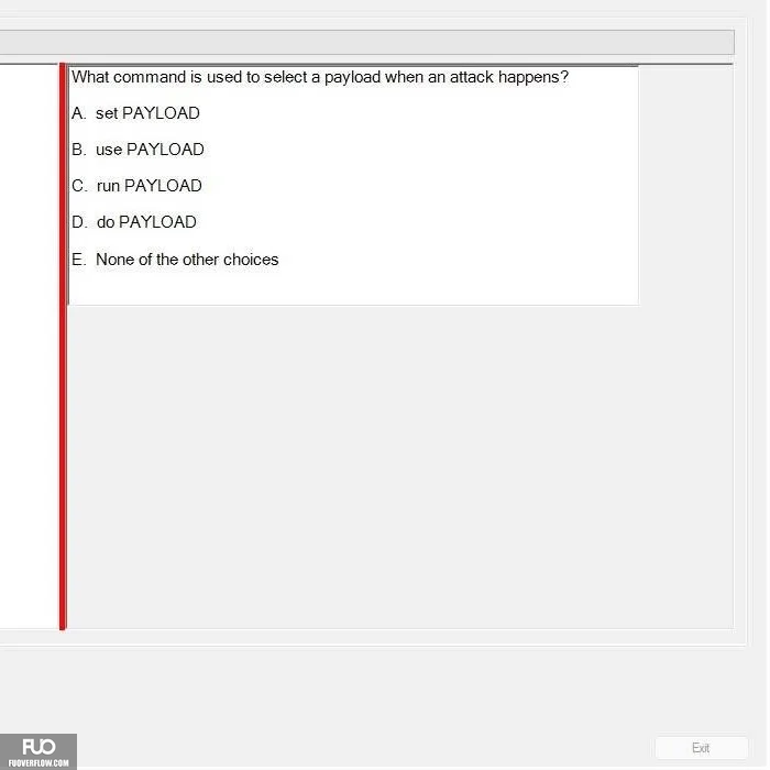 SP24_FE (4).webp