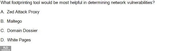 SP25_RE (4).webp