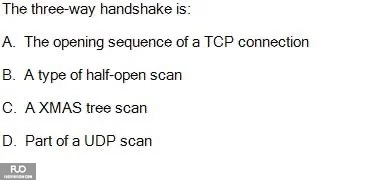 SP25_RE (45).webp