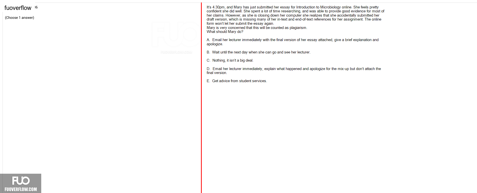 SSL101c_-_FA_2024_-_C2_-_RE_3309.webp