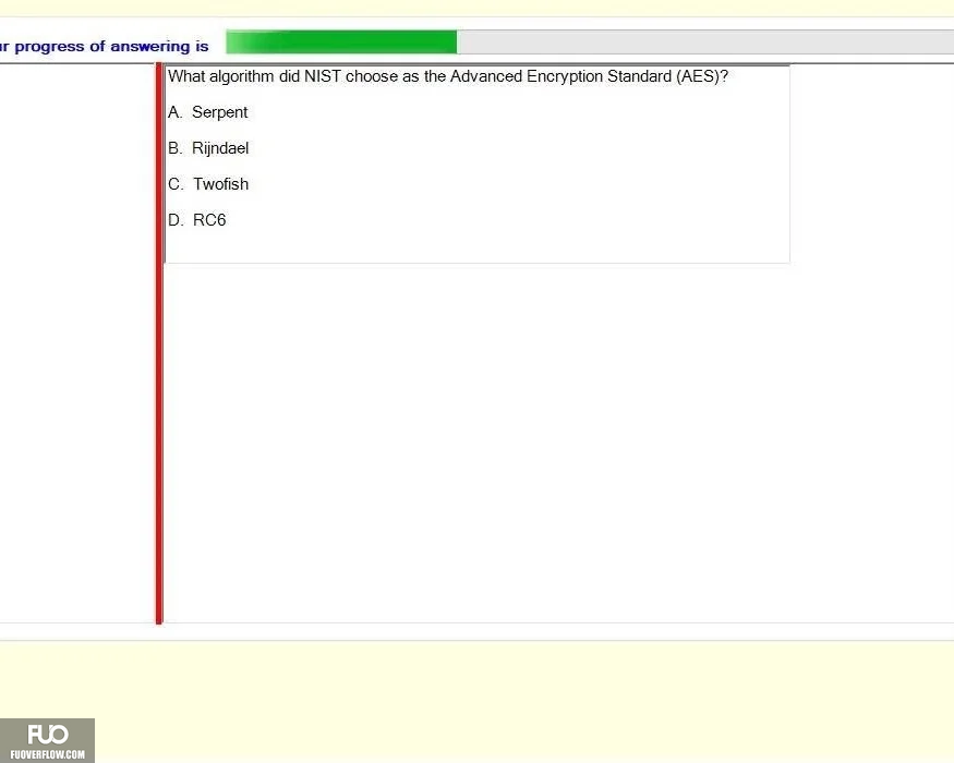SU24_RE (28).webp